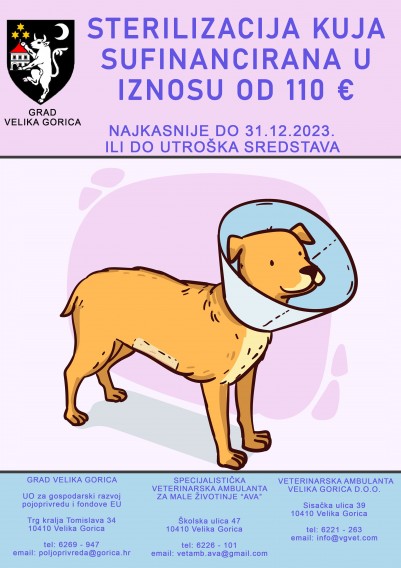 sterilizacija kuja